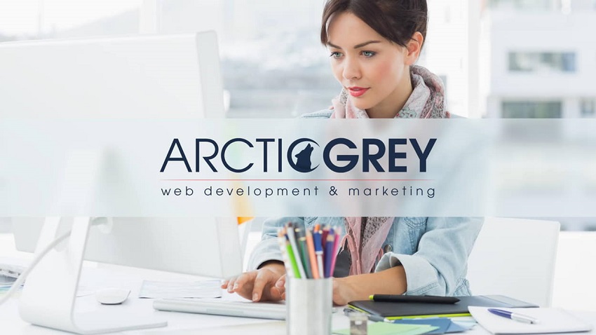 Arctic Grey - Award Winning Shopify Experts in New York