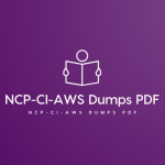 NCP-CI-AWS Dumps PDF