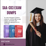 SAA-C03 Exam Dumps